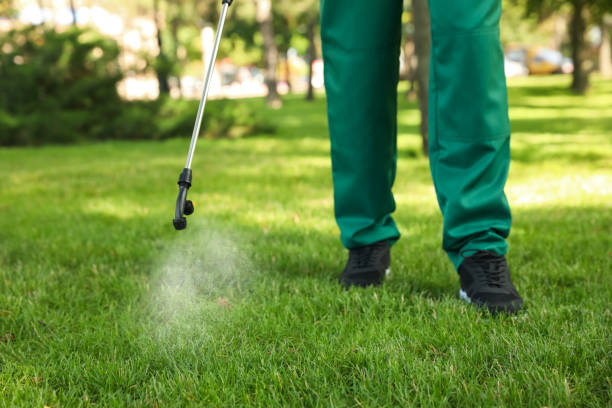 Best Flea Control Services  in Sheffield, OH